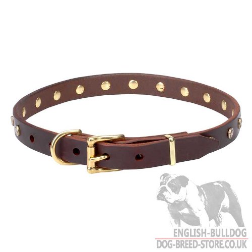 Bulldog Collars